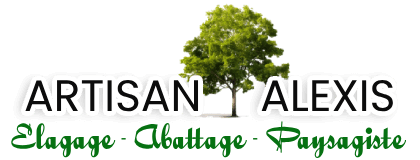 elagage-artisan-alexis-elagage-abattage-paysagiste